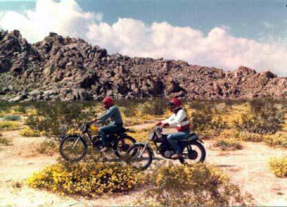 36 kb loading,...Jo & Ed biking through the flowers of May 1983.